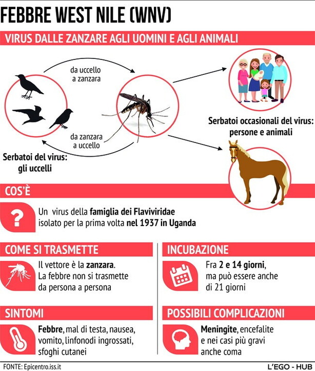 AVVISO ALLA CITTADINANZA  Virus WEST NILE VIRUS  (WNV)  